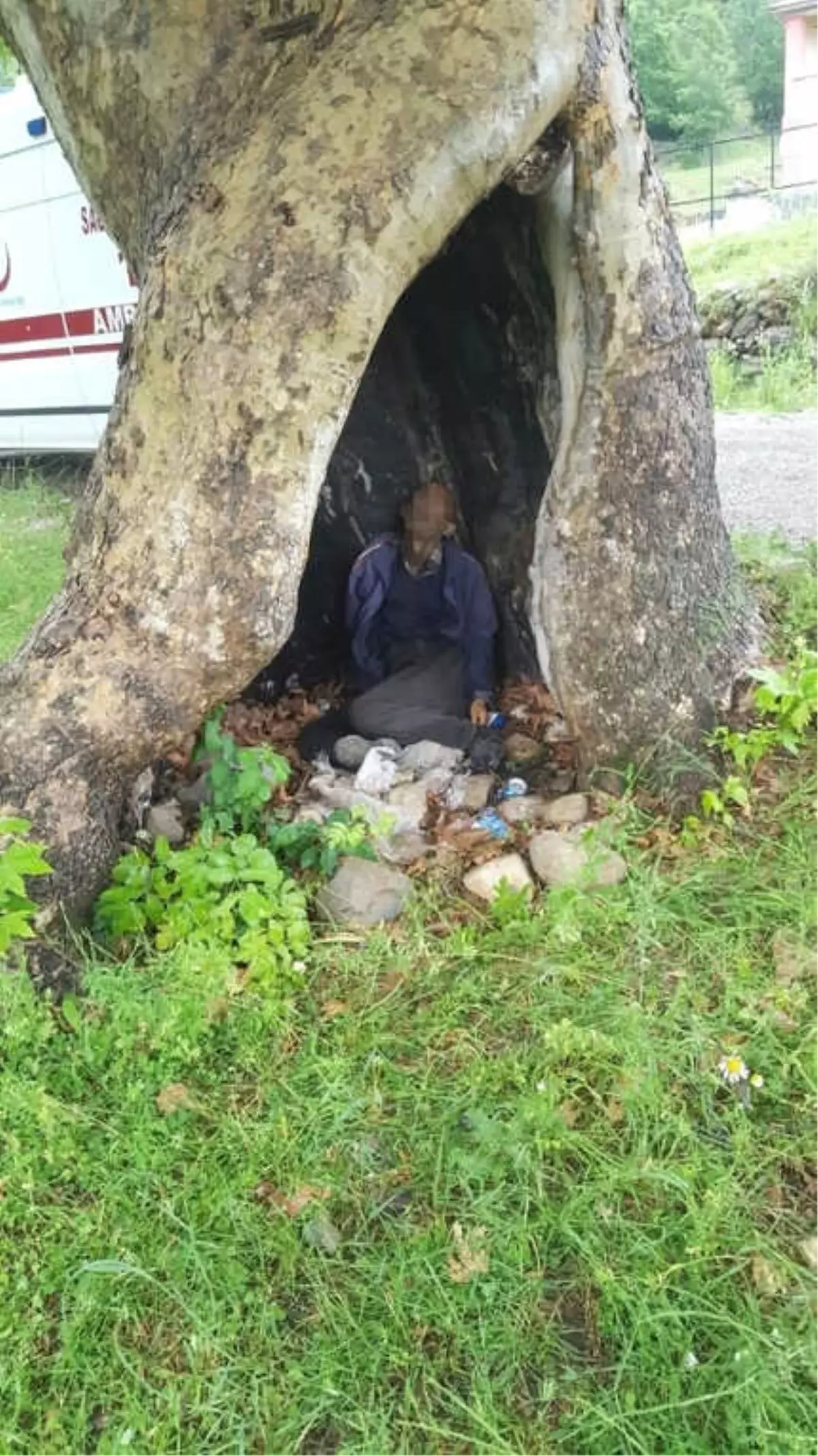 Yağmurda Sığındığı Ağaç Kovuğunda Yıldırım Düşmesi Sonucu Öldü