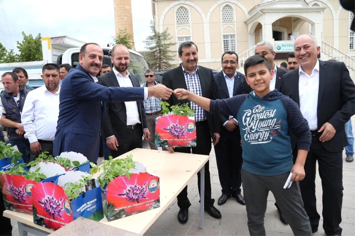 Başkan Duruay, Hacıhasan\'da Organik Fide Dağıttı