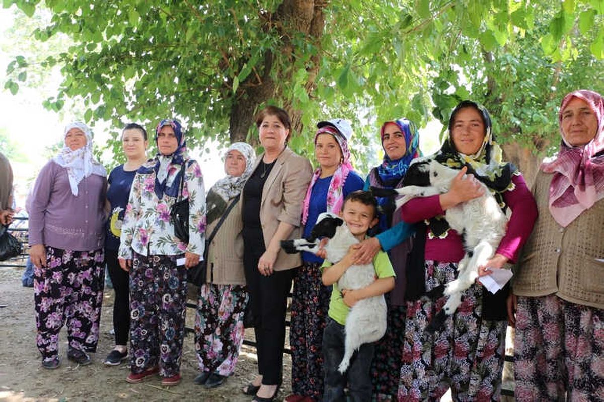 Kırsalın İlacı