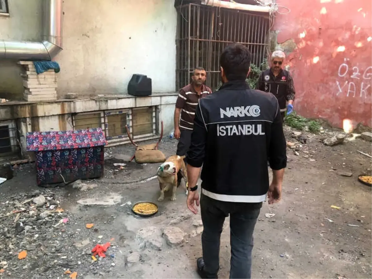 Fatih\'te Nefes Kesen Narkotik Operasyonu