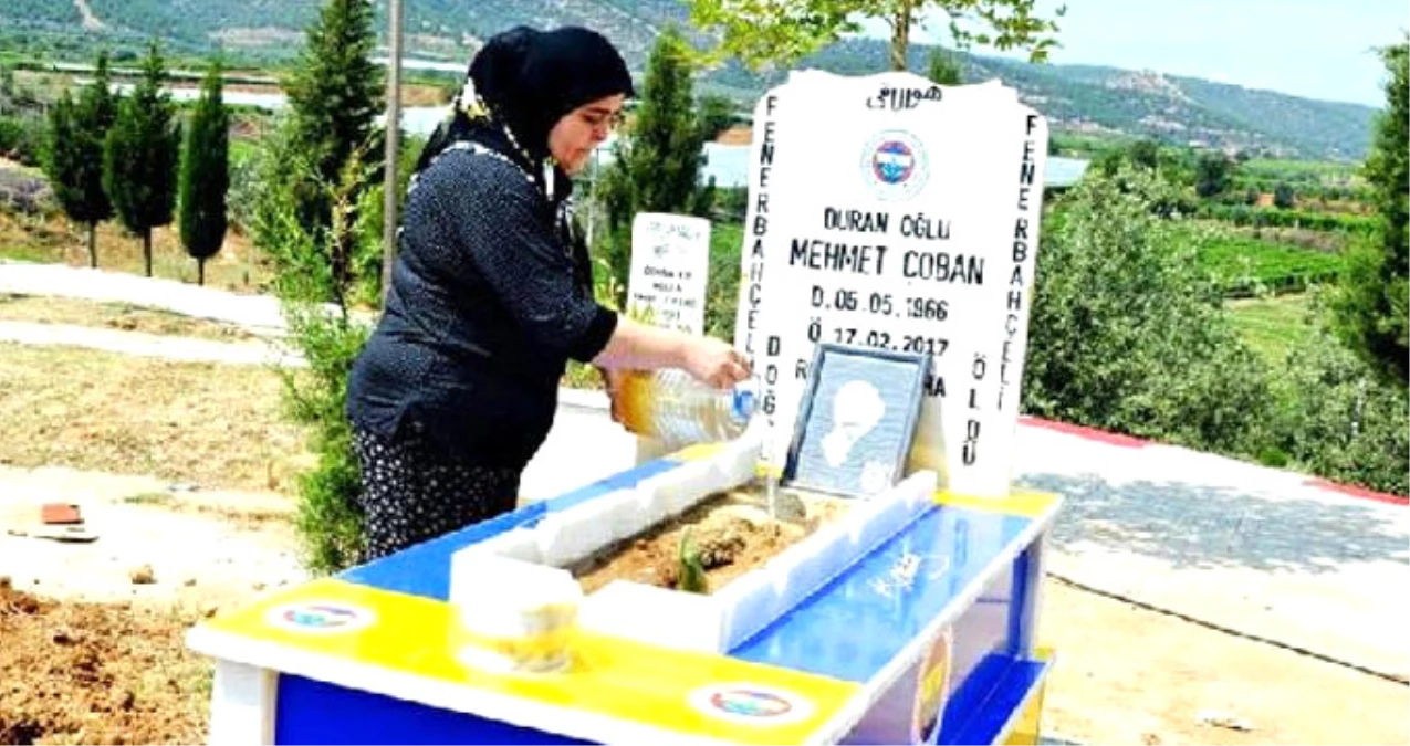 Fenerbahçe Maçını İzlerken Ölen Taraftarın Eşi, Sarı-Lacivert Mezar Vasiyetini Yerine Getirdi