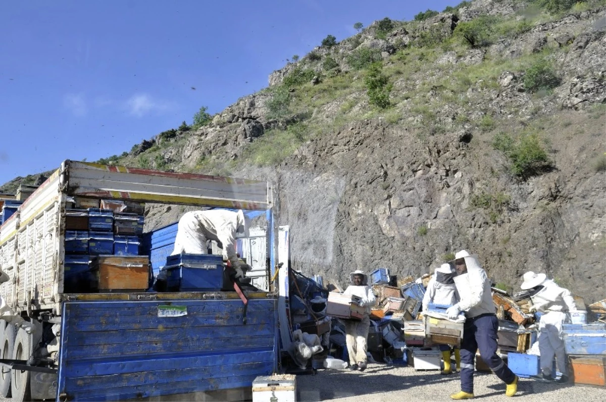 Binlerce Arı Sürücülere Zor Anlar Yaşattı