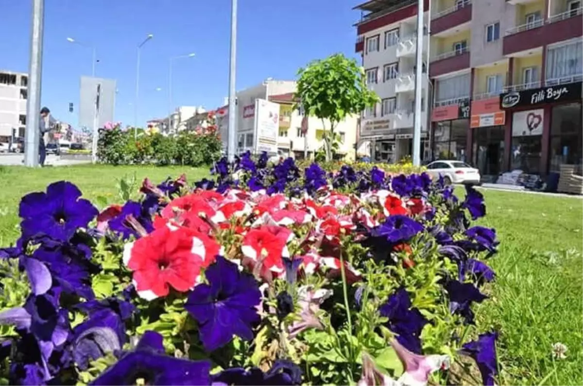 Gürün Rengarenk Çiçek Açtı