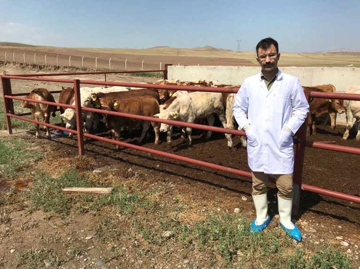 Hayvan Yetiştiricilerine Aşırı Yağış Uyarısı