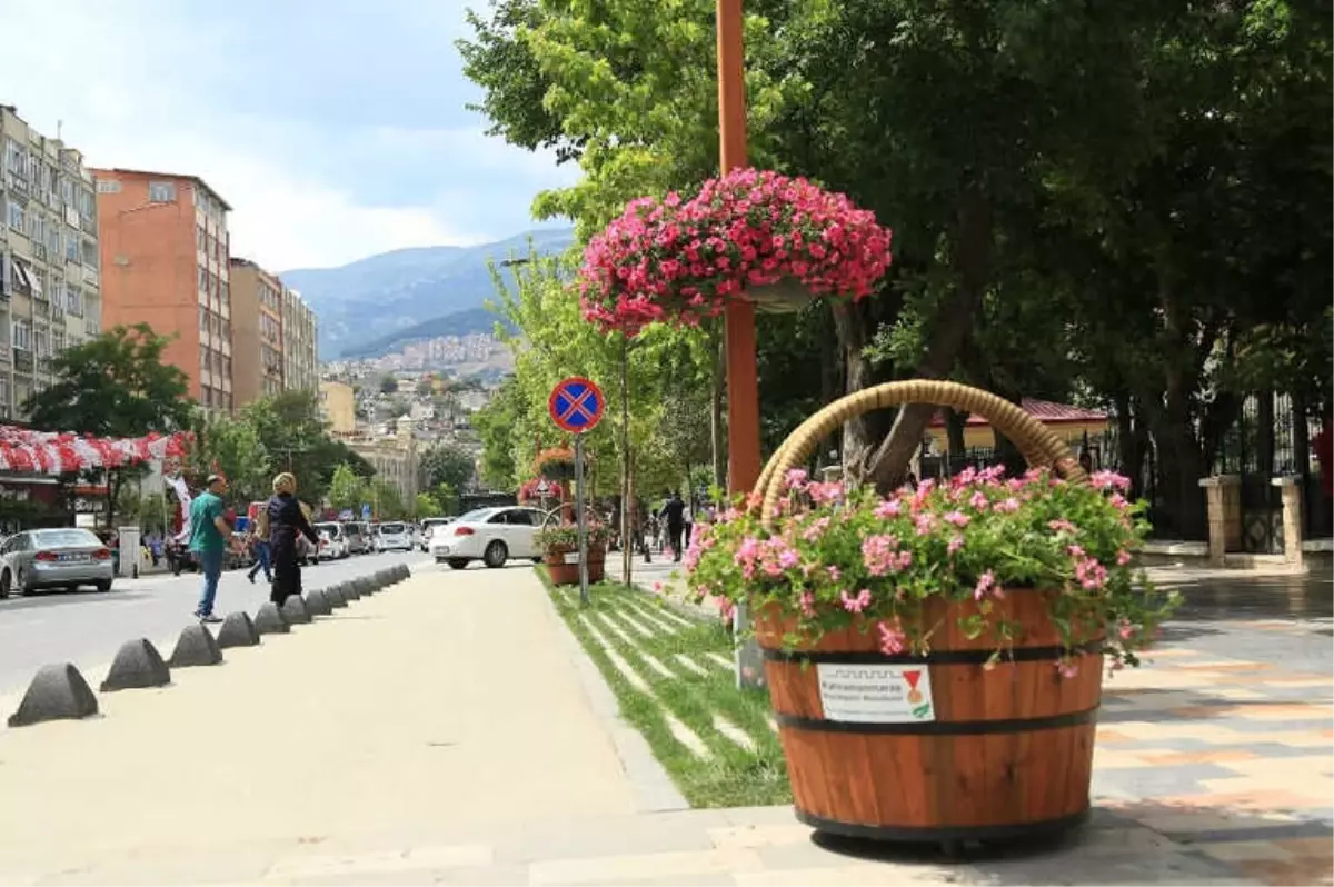 Kahramanmaraş Çiçek Açtı