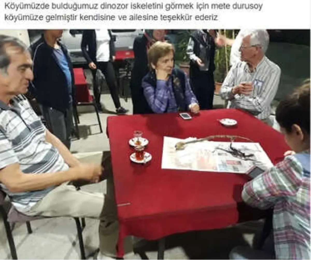 Köylülerin Bulduğu Hayvan İskeleti Gizemini Koruyor