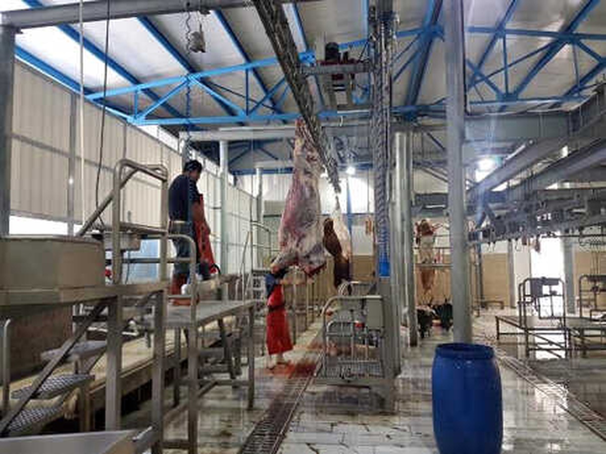 Tunceli\'nin Tek Mezbahanesi, Kapanma Tehlikesi ile Karşı Karşıya