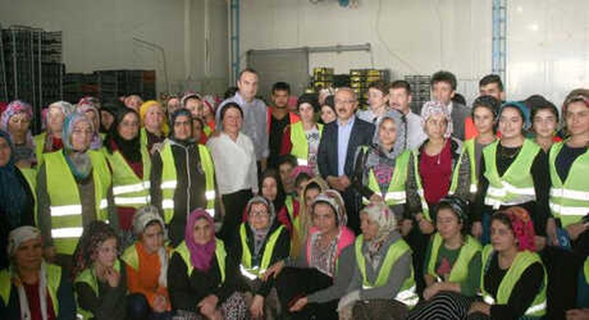 Bakan Elvan, Türkiye\'nin İlk Genç Girişimci Merkezi\'ni Açtı (2)