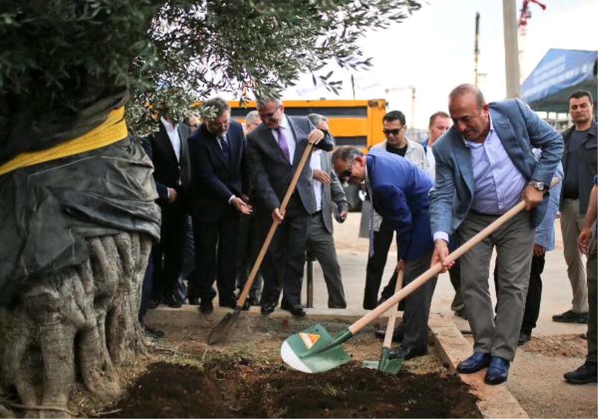 Bakan Özhaseki, \'Yapı Kayıt Belgesi\' Detaylarını Açıkladı