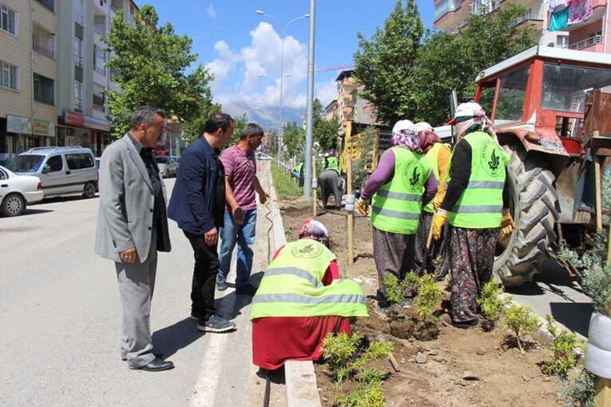 Başkan Tutal, Kaldırım ve Peyzaj Düzenleme Çalışmalarını İnceledi