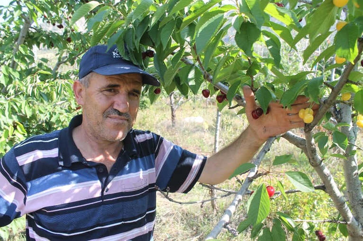Bir Dalda İki Kiraz \'Biri Al Biri Beyaz\'