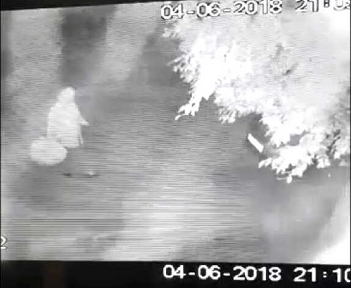 Çiçek Hırsızı Yaşlı Kadın Güvenlik Kamerasına Yakalandı