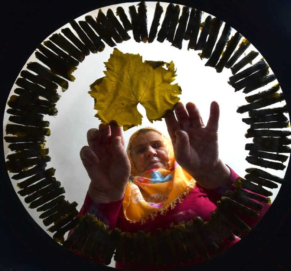 Fotoğraf Yarışmasının Ödülleri Verildi