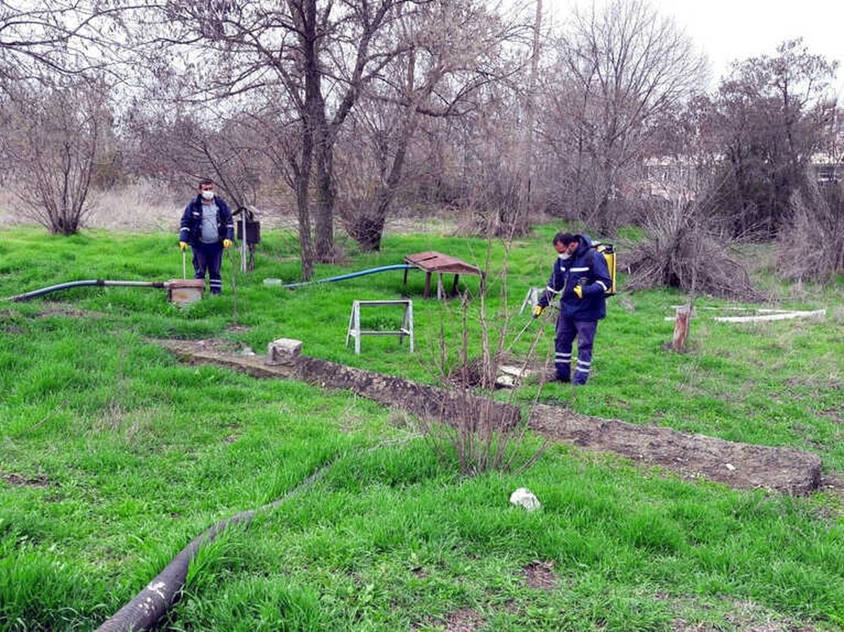 İlaçlama Çalışmaları Devam Ediyor