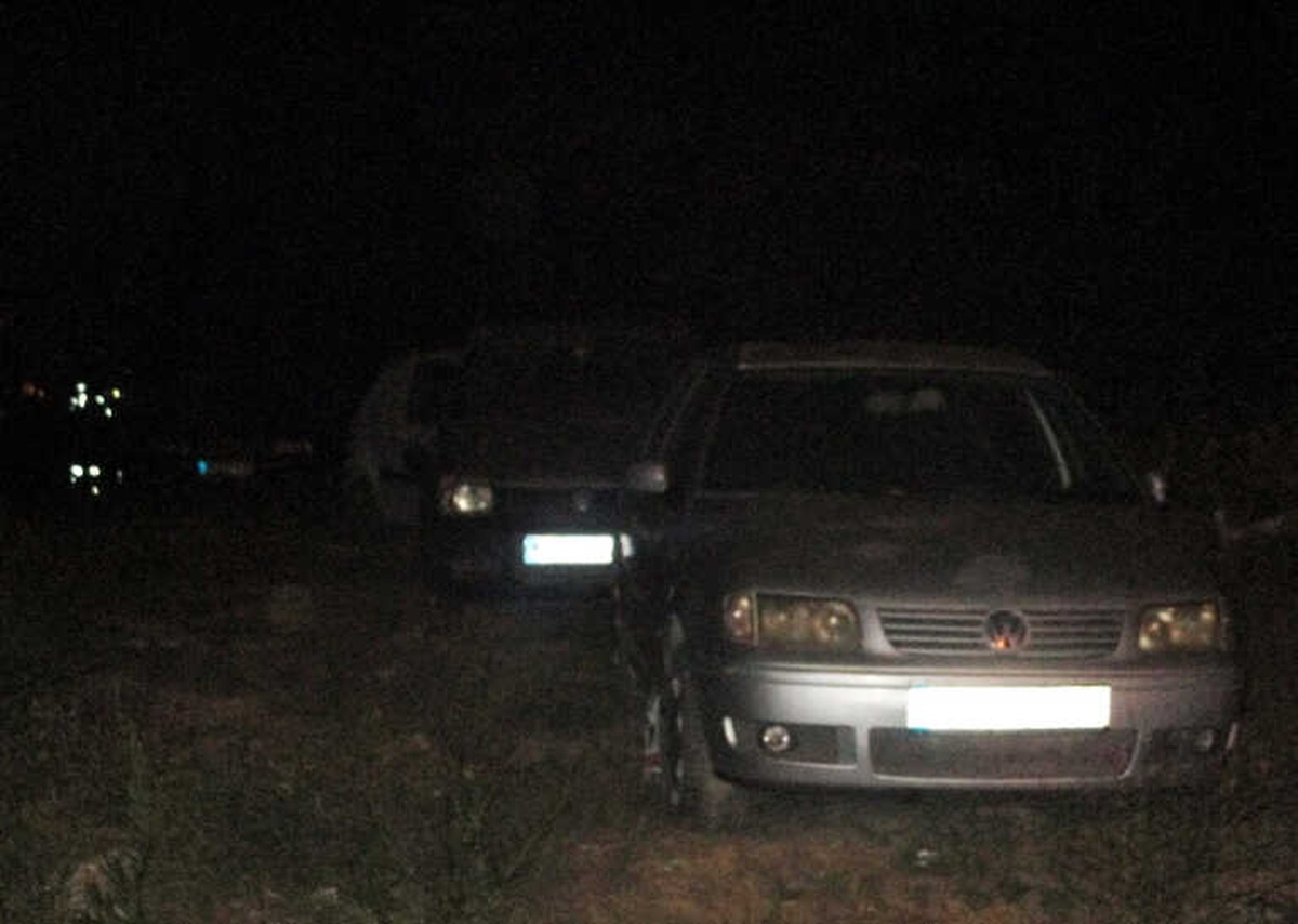 İzmir\'den Çalınan Otomobiller İstanbul\'da Yakalandı