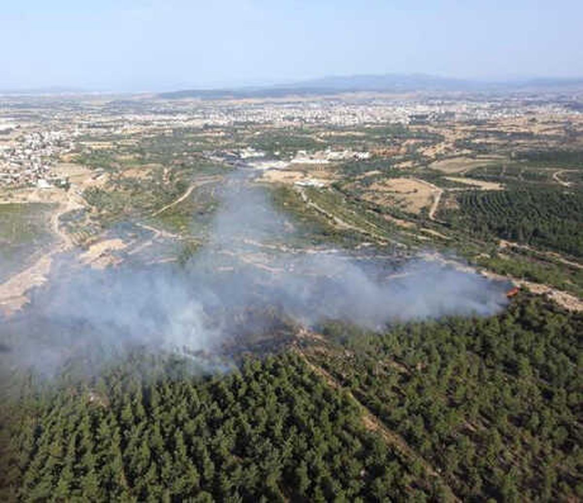 İzmir Menderes\'te Orman Yangını Çıktı