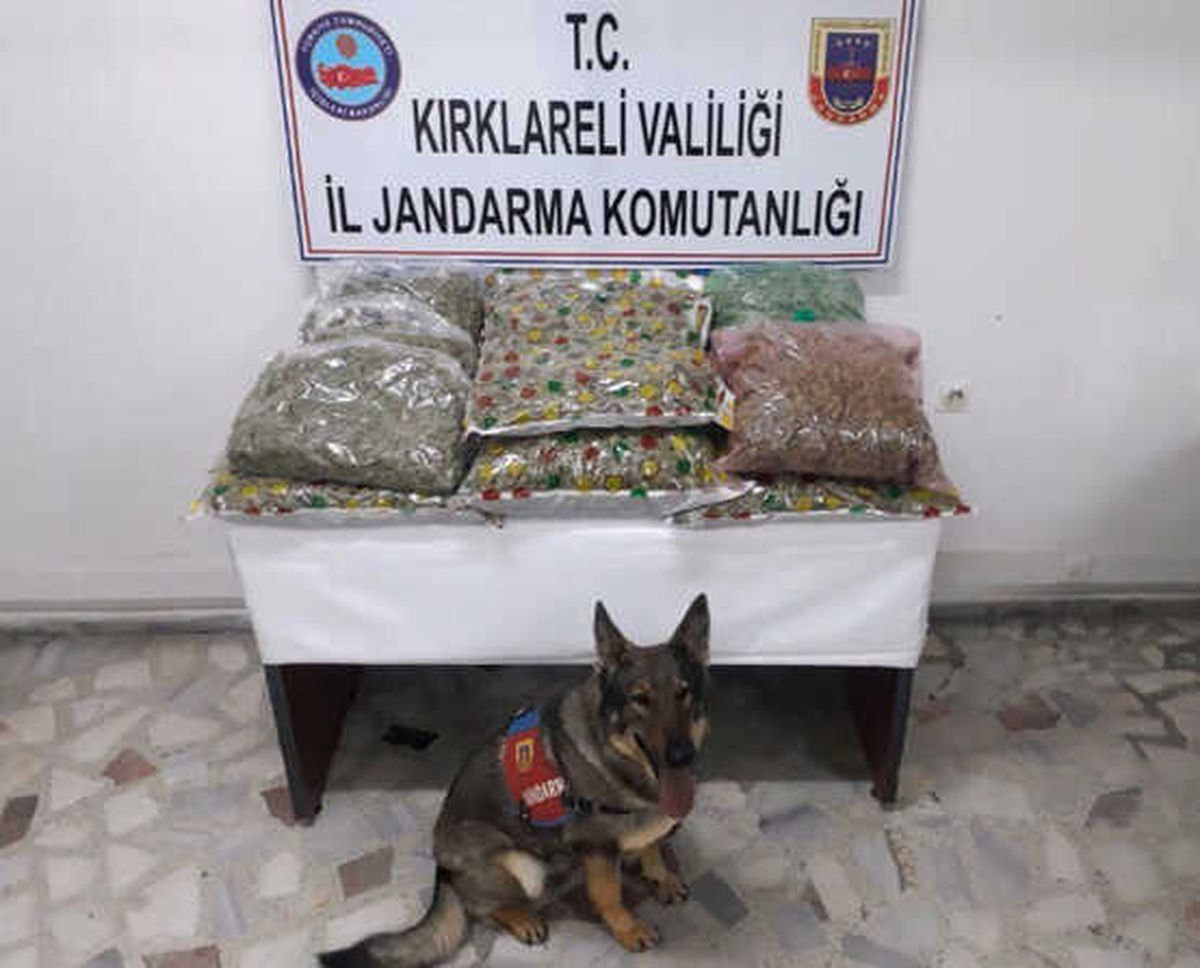 Kırklareli\'nde Suç Örgütüne Dev Operasyon: 9\'u Memur 32 Gözaltı