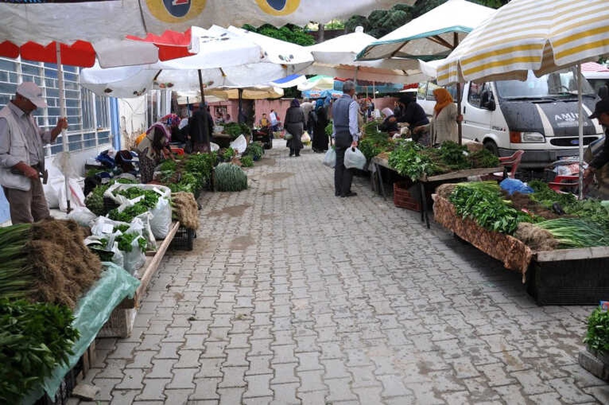 Organik Fide Pazarına Yoğun İlgi