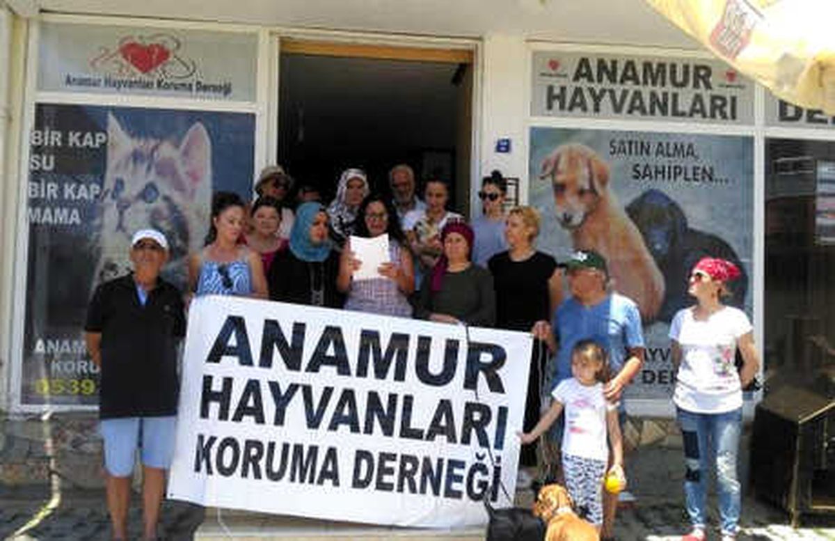 Oylarını Hayvan Haklarını Savunacak Adaylara Verecekler