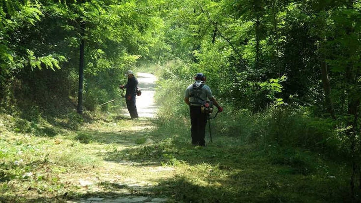 Park ve Yeşil Alanlar Bakımdan Geçiyor