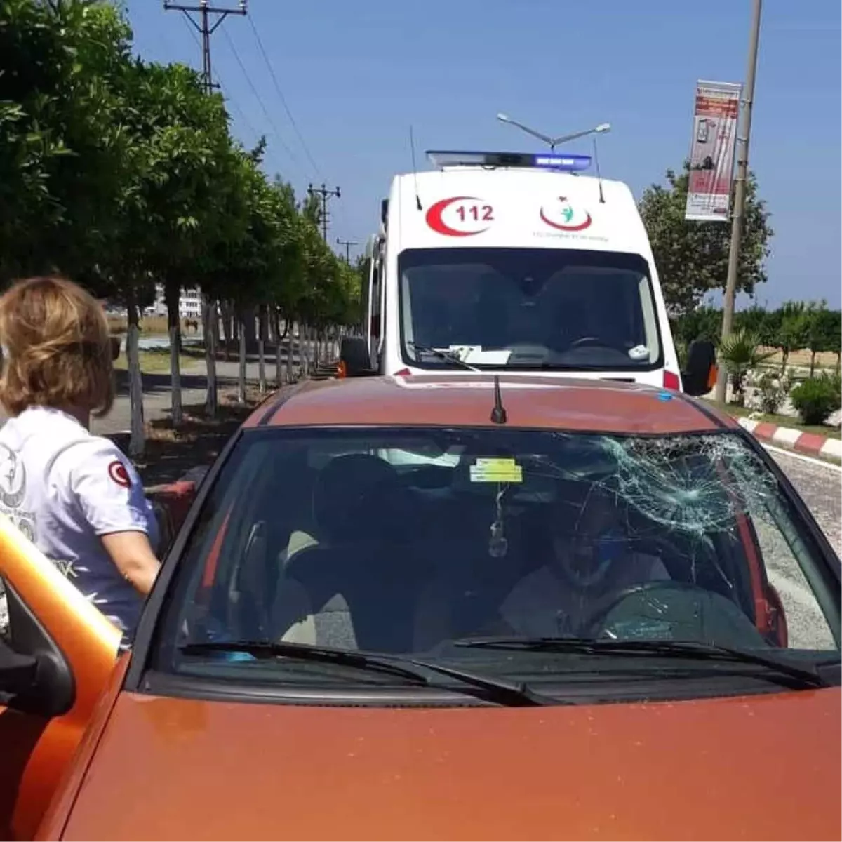 Atın Çarptığı Otomobilin Sürücüsü Yaralandı