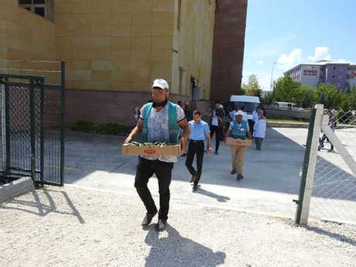 Çorum\'da Hükümlüler Sebze Üretiyor