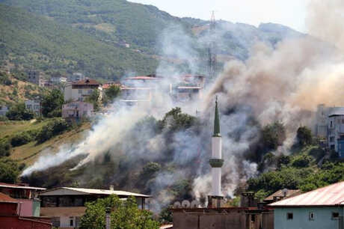 Evlere Yakın Ağaçlık Alanda Çıkan Yangın Korkuttu