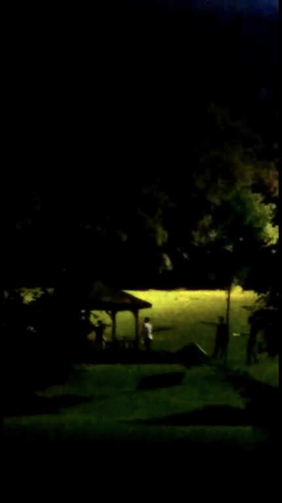 Gece Geç Saatlerde Gittikleri Parkı Darmadağın Ettiler