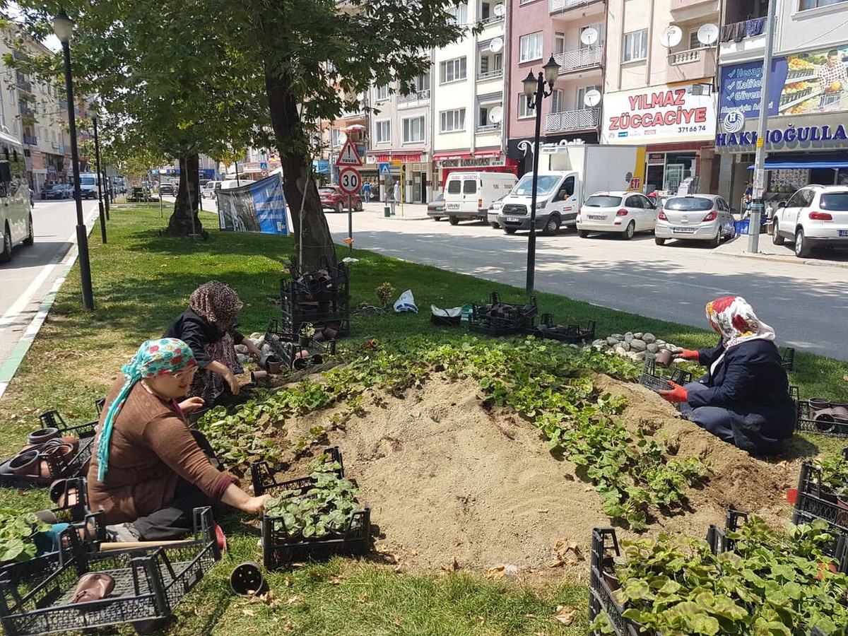 Gürsu\'nun Caddeleri Çiçeklerle Renkleniyor