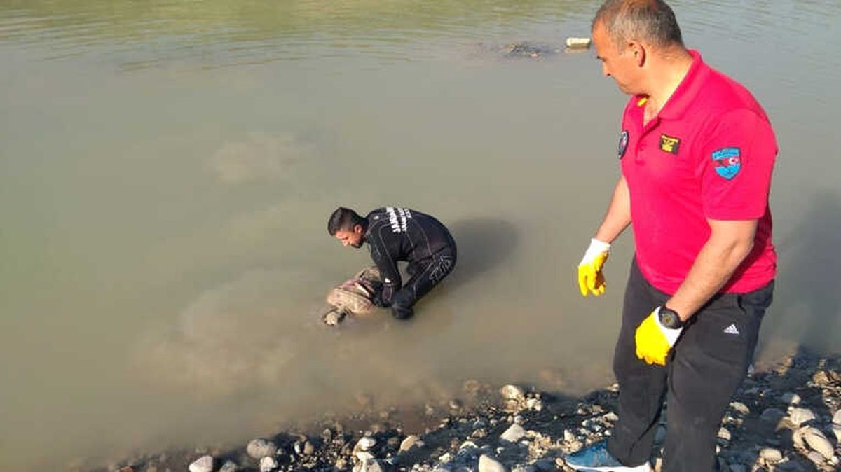 Kelkit Çayı\'na Düşen Çocuğun Cansız Bedeni Bulundu