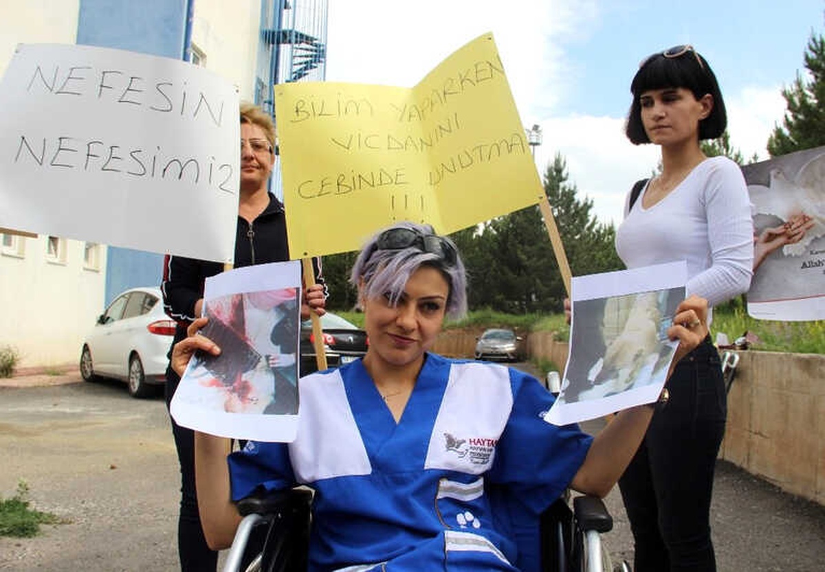 Sivas\'ta Veterinerlik Fakültesinde Ders İçin Sokak Köpeğinin Katledilmesine Tepki
