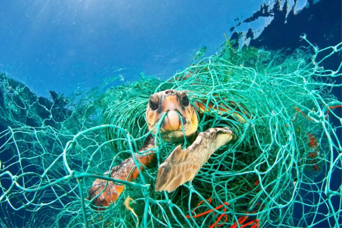 WWF, Akdeniz Plastik Raporu\'nu Yayımladı!