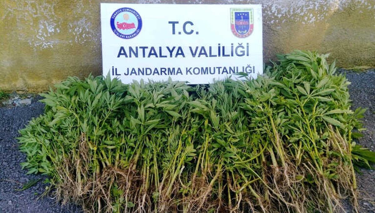 Antalya\'da Uyuşturucu Operasyonu