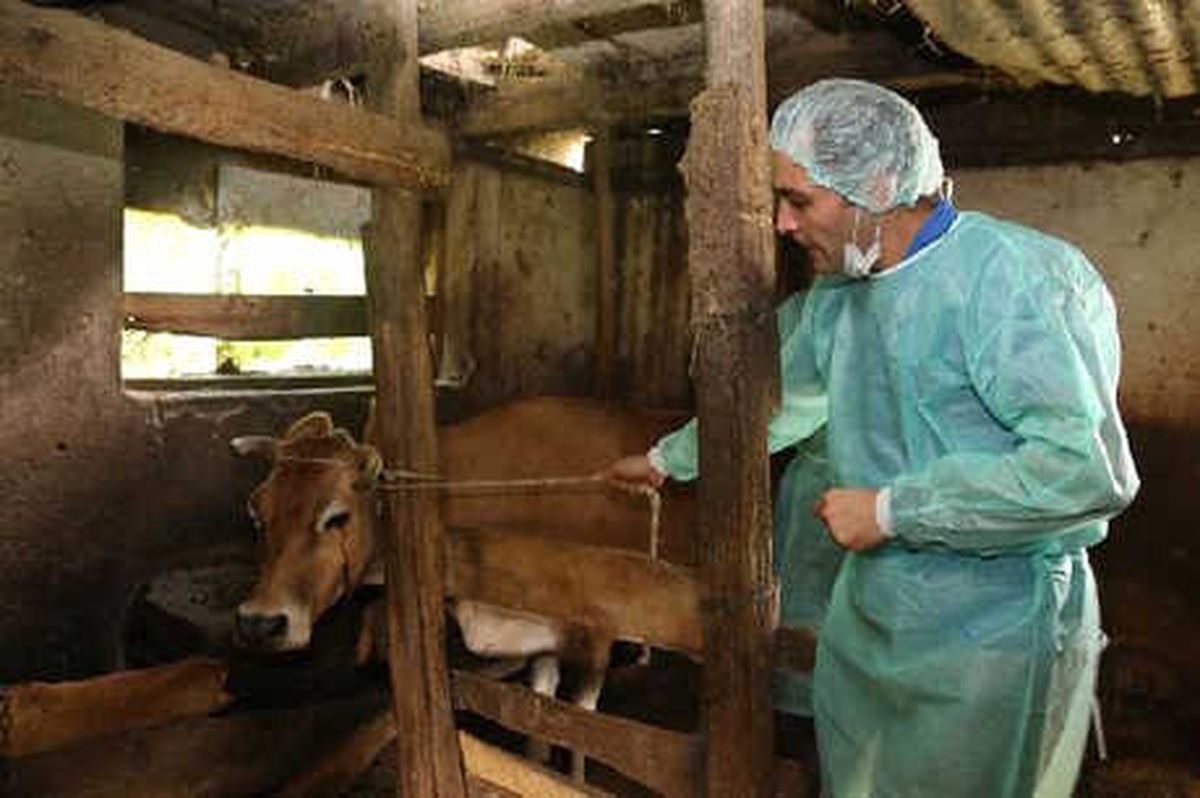 Artvin\'de Karantinadaki 5 İlçede Aşılama Çalışması