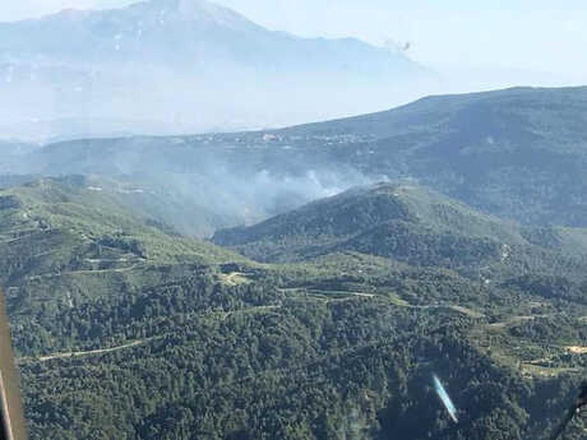 Hatay\'da Orman Yangını (2)