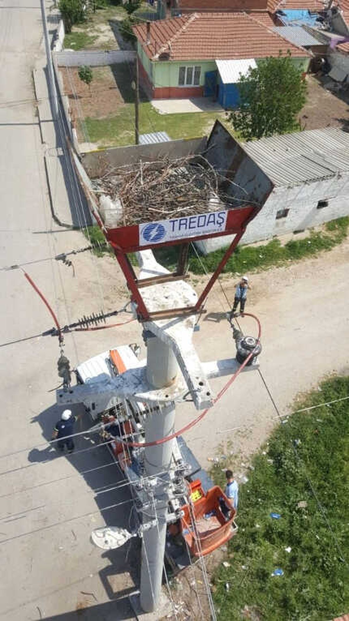 Leyleklere Özel Yuva