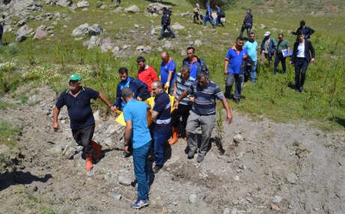 Mantar Toplamaya Gitti, Ölü Bulundu
