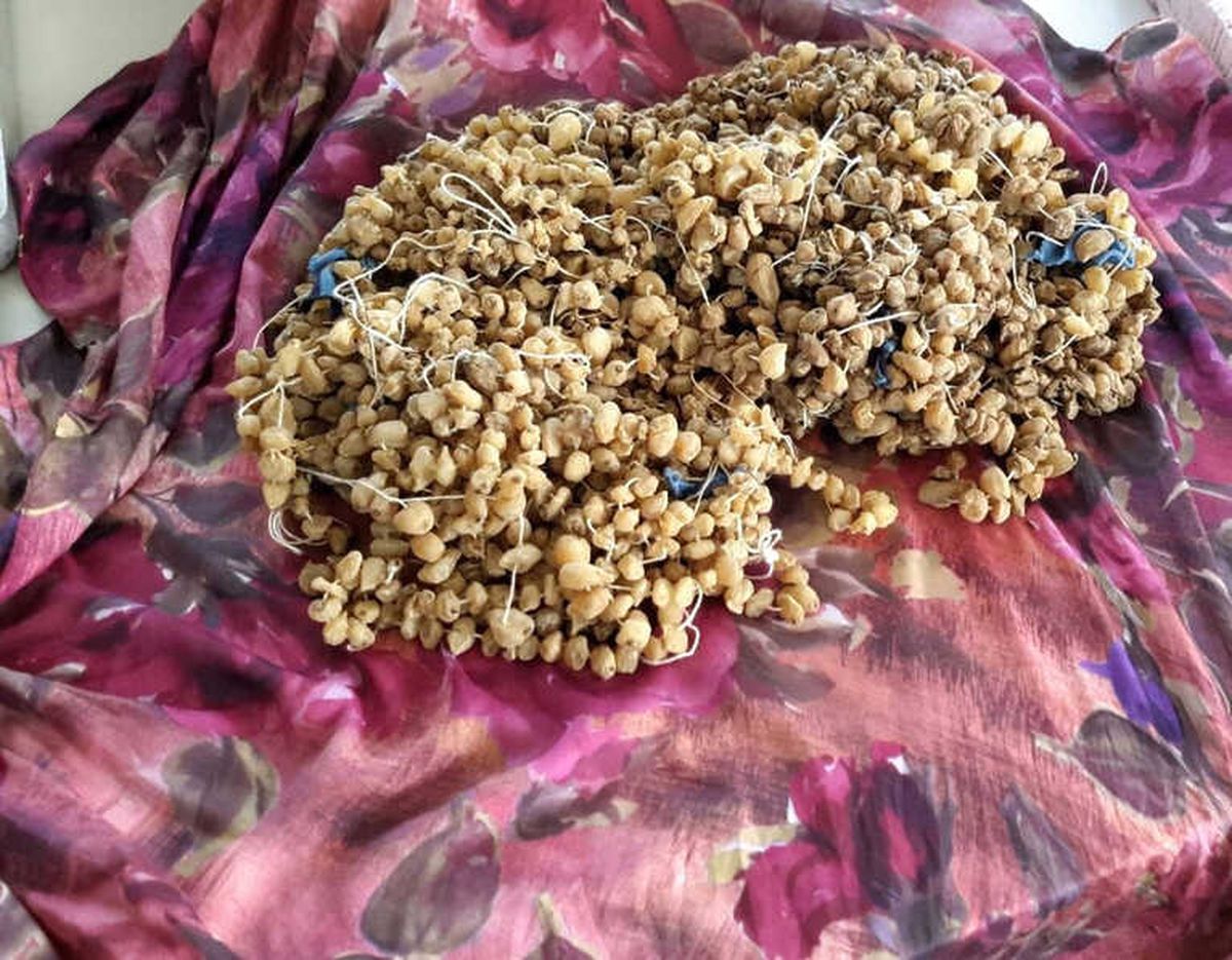 Otomobilin Stepnesinde 3 Kilogram Kaçak Salep Soğanı Ele Geçirildi