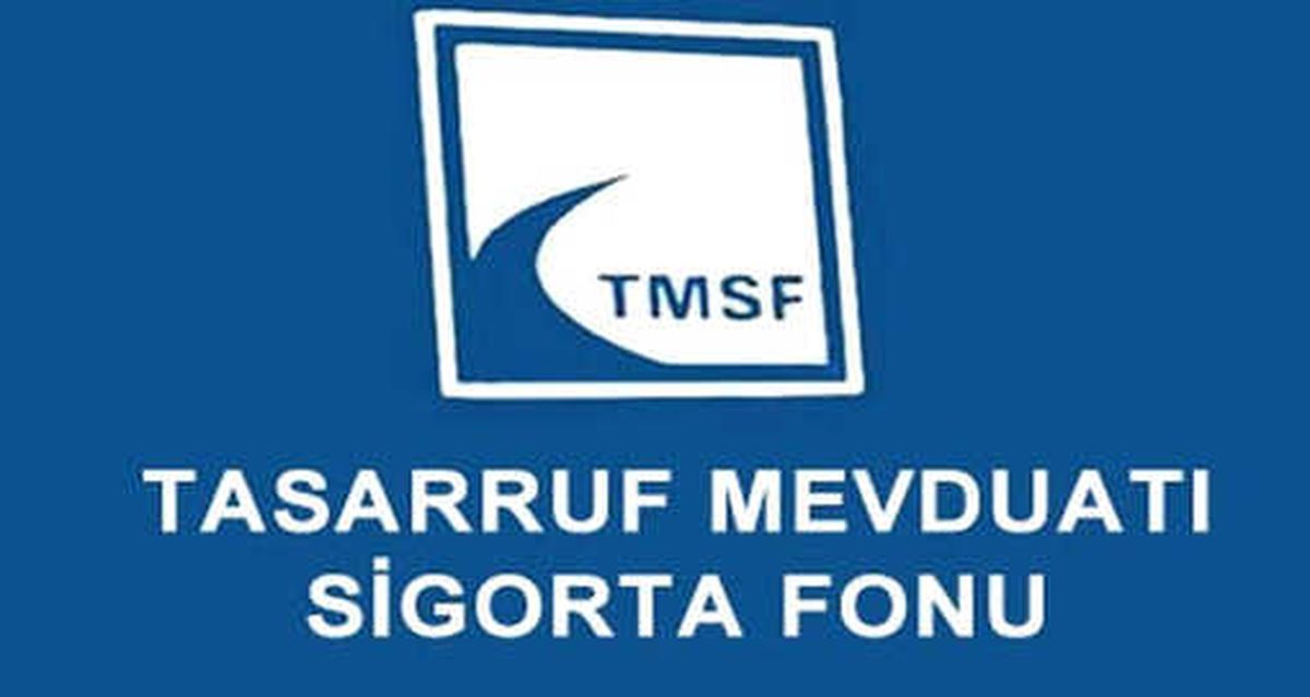 TMSF\'den Döviz Hamlesi