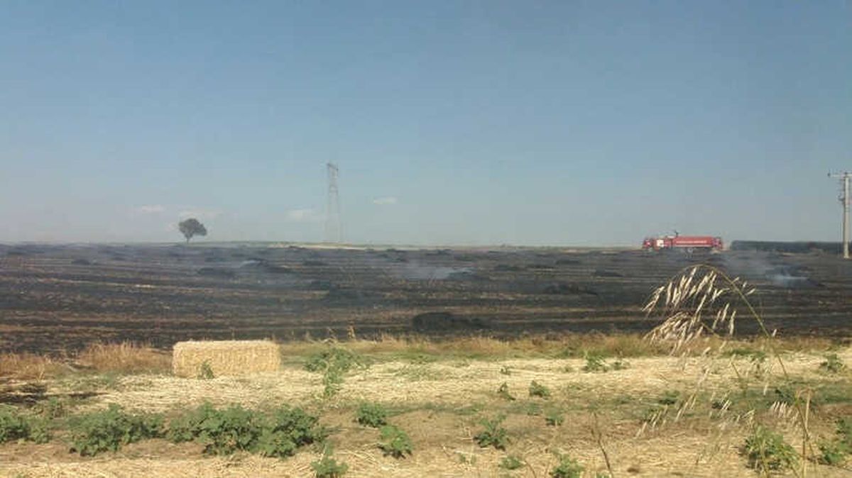Yangın, 35 Dönümlük Alandaki Balyaları Küle Çevirdi