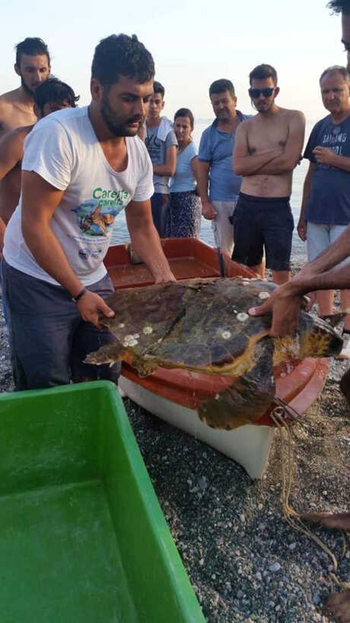 Yaralı Caretta Caretta Kurtarılamadı