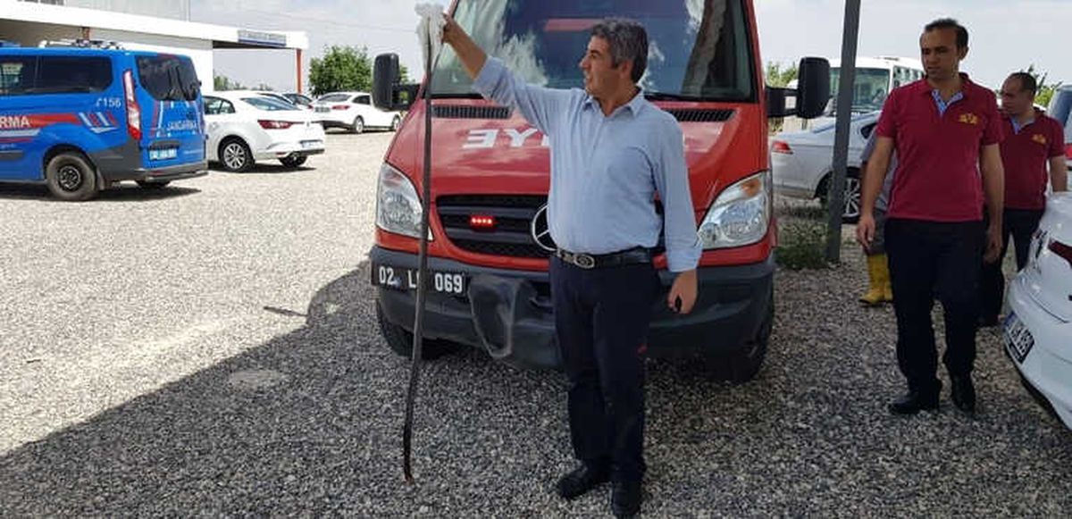 Yılanı İtfaiye Ekipleri Etkisiz Hale Getirdi