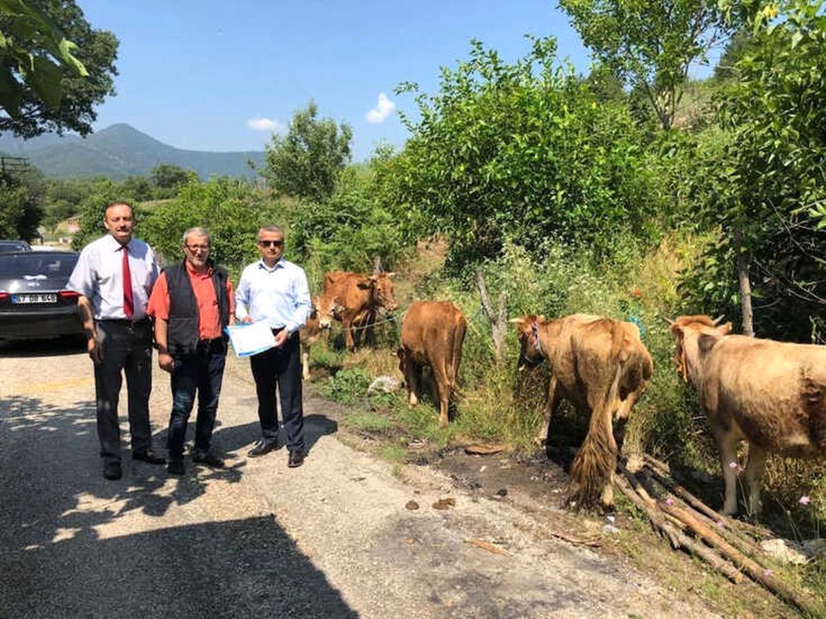 İşkur\' Dan Engellilere Hibe Desteği