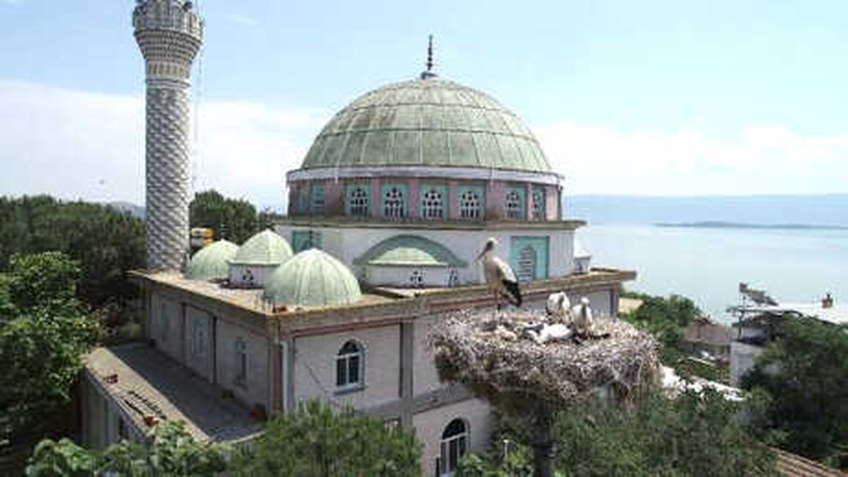Leylek Köyünde Yavru Leylek Heyecanı