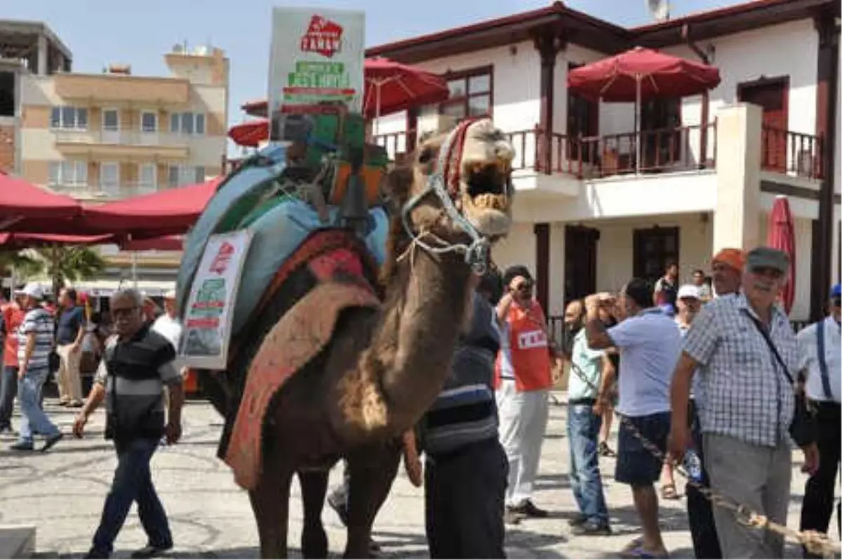 Aydın\'da Jeotermale Karşı Develi Protesto