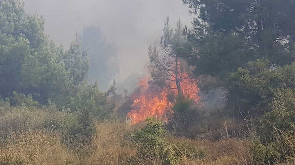 Çocukların Oyunu Felaketle Sonuçlanıyordu