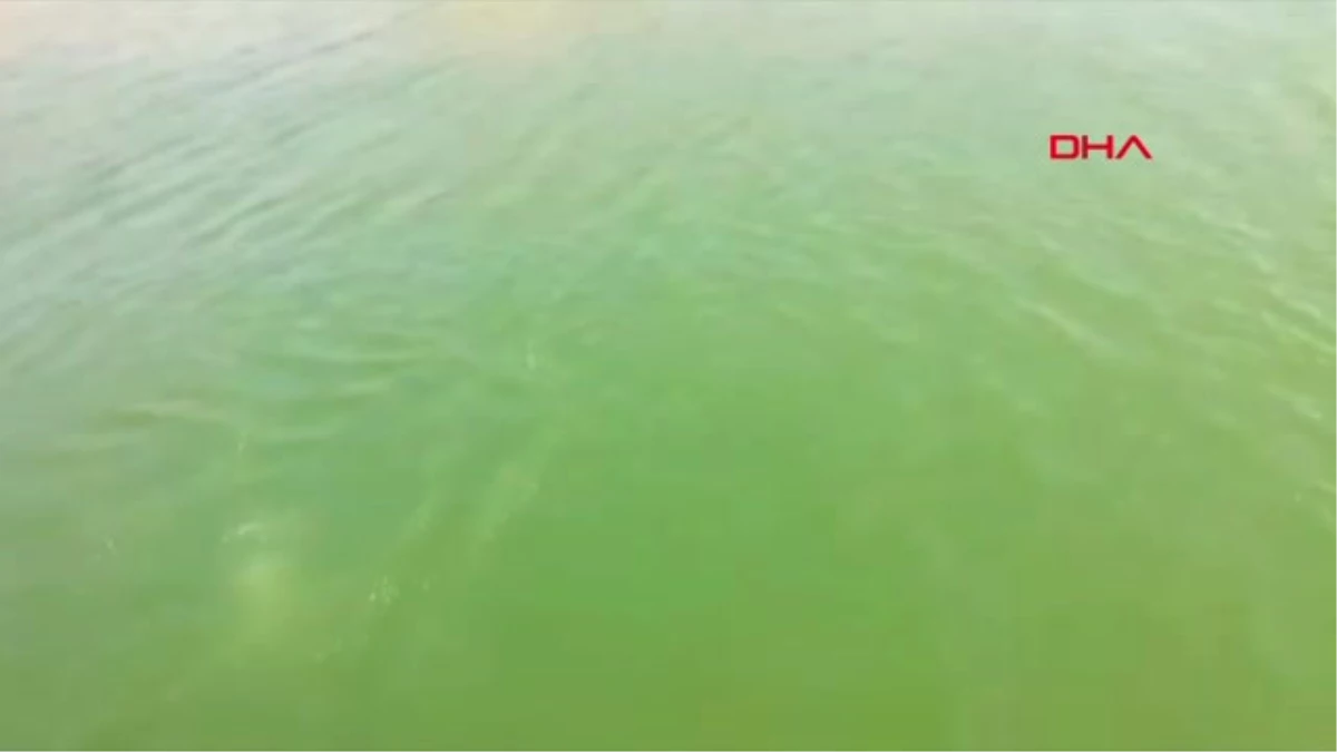 Malatya Serinlemek İçin Girdiği Baraj Gölünde Boğuldu