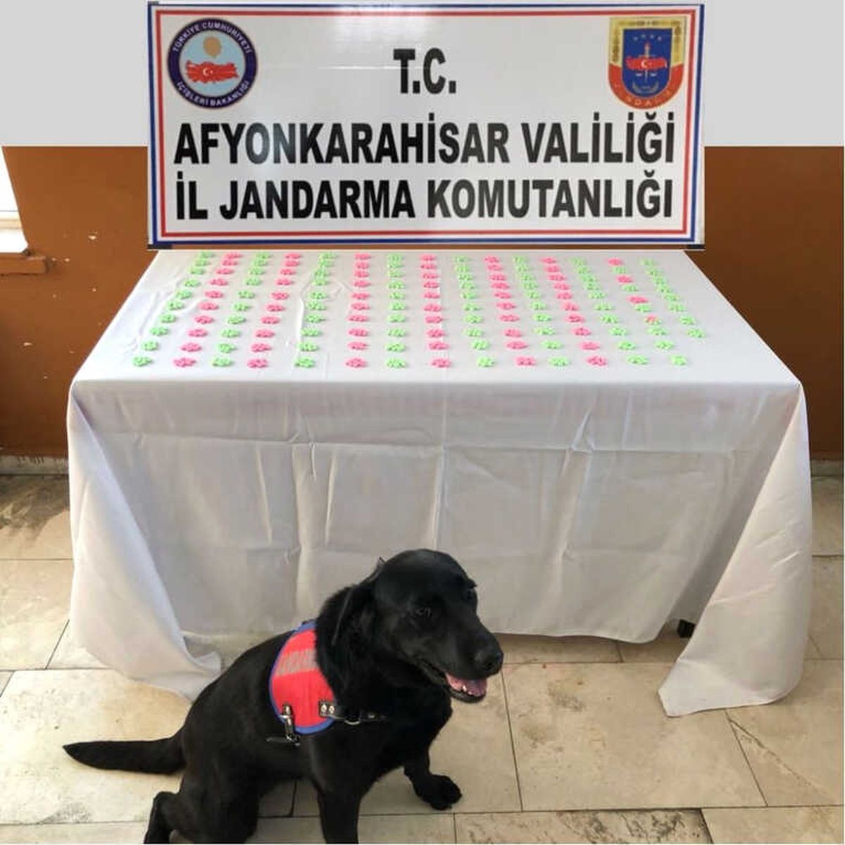 Bin 480 Adet Extacy Hap Ele Geçirildi