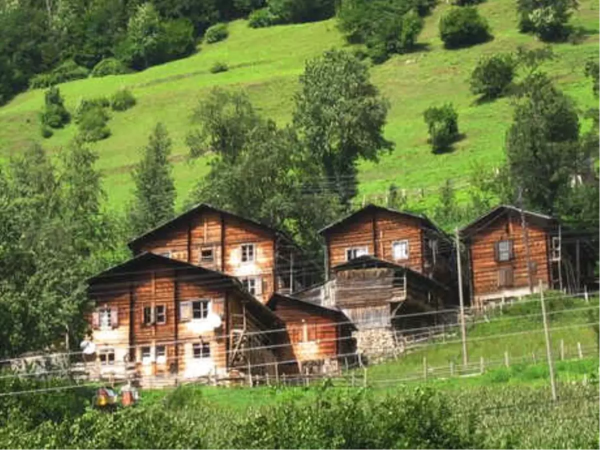 Doğu Karadeniz\'in Çamlık Köyünde Beton Ev Yapmak Yasak!