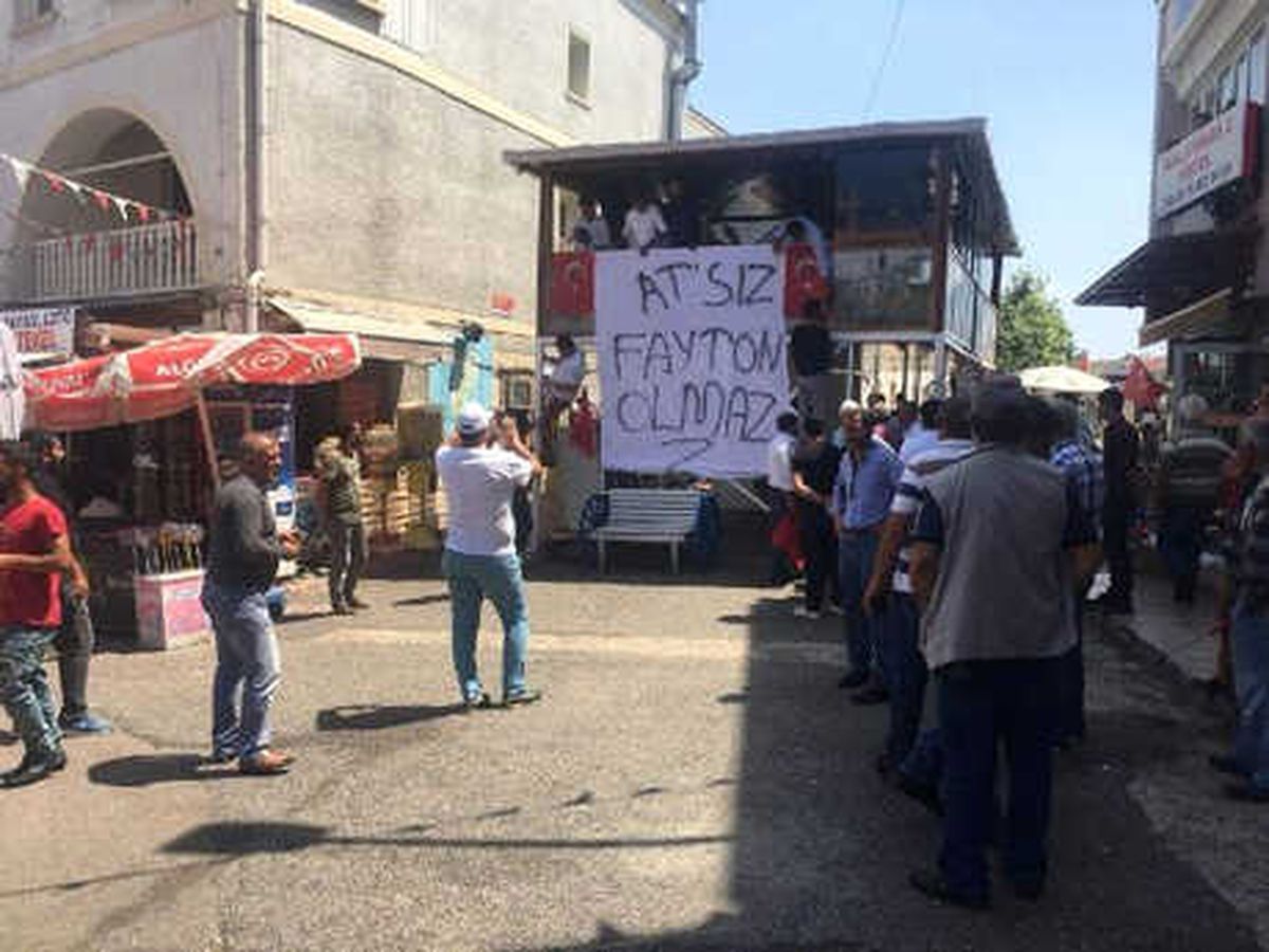 Faytonculardan Koşum Takımlı Protesto...adalara At Ambulansı ve Veteriner Geliyor